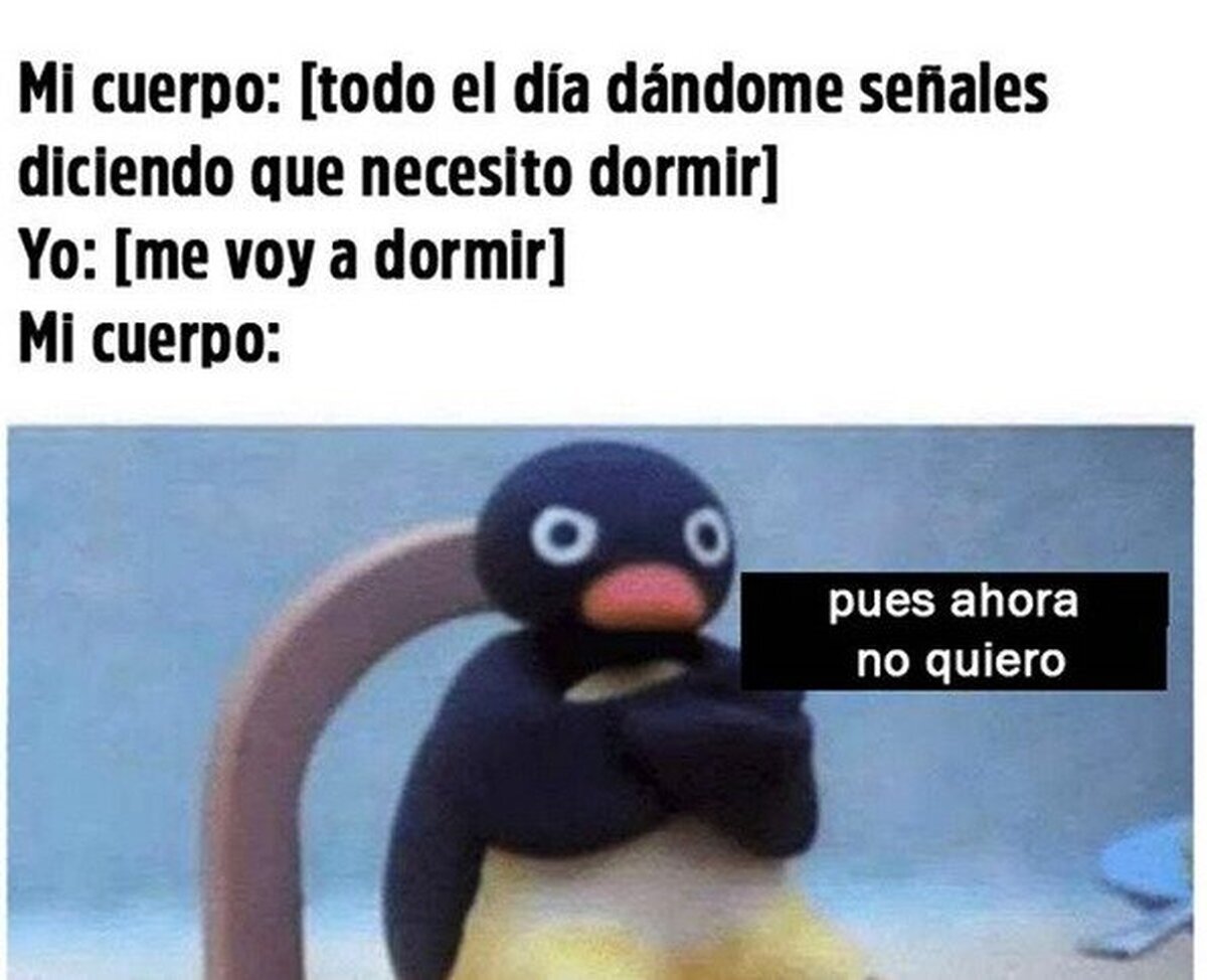 Mi día a día