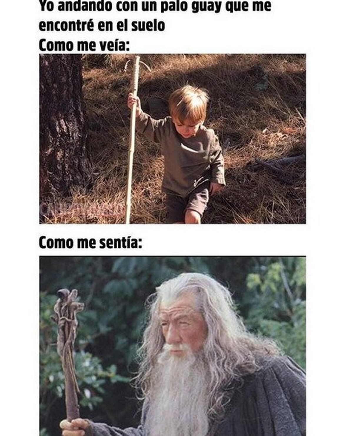 Todos lo hemos hecho