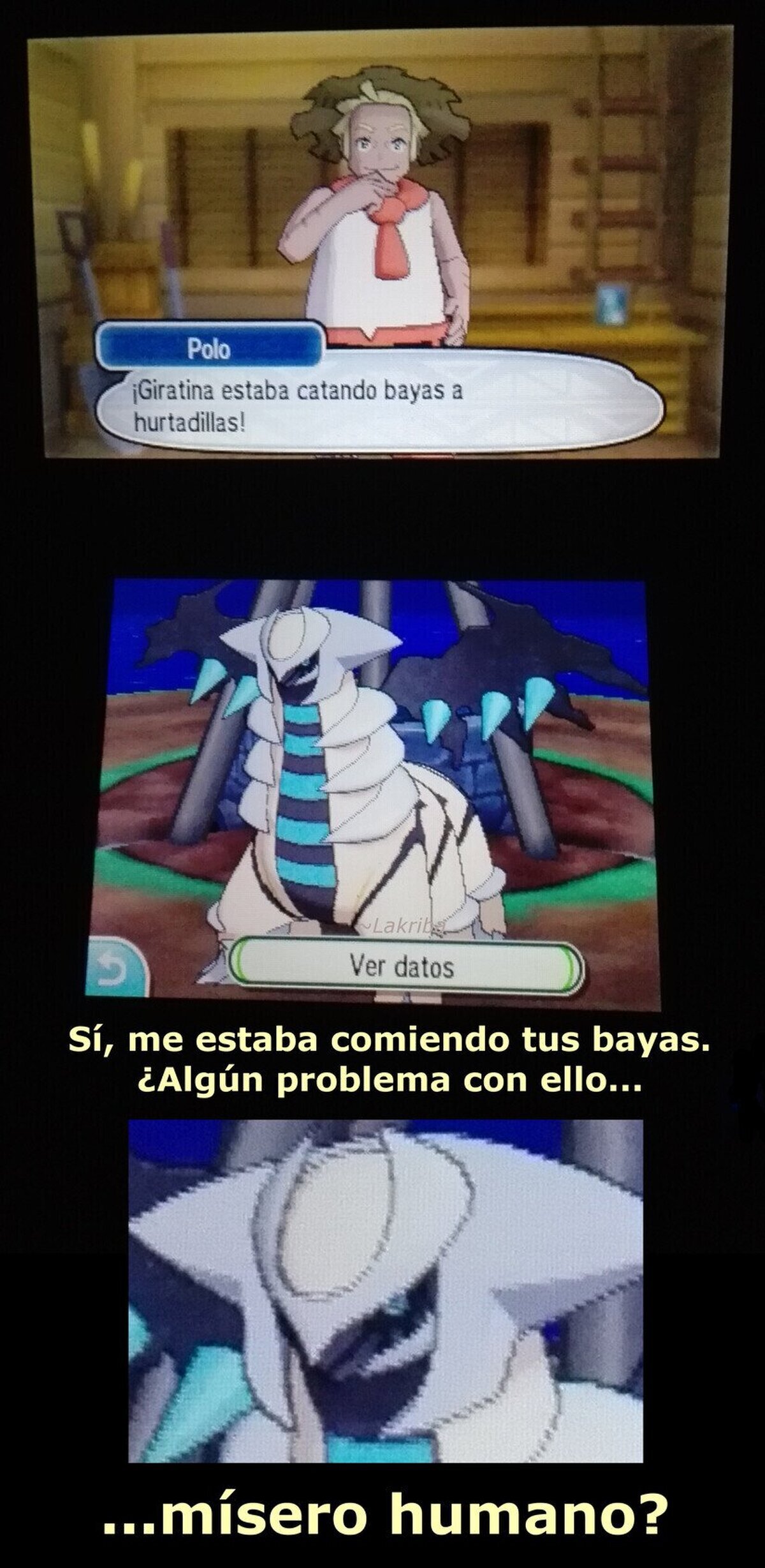 Ninguno, oh, brillante señor del inframundo Pokémon