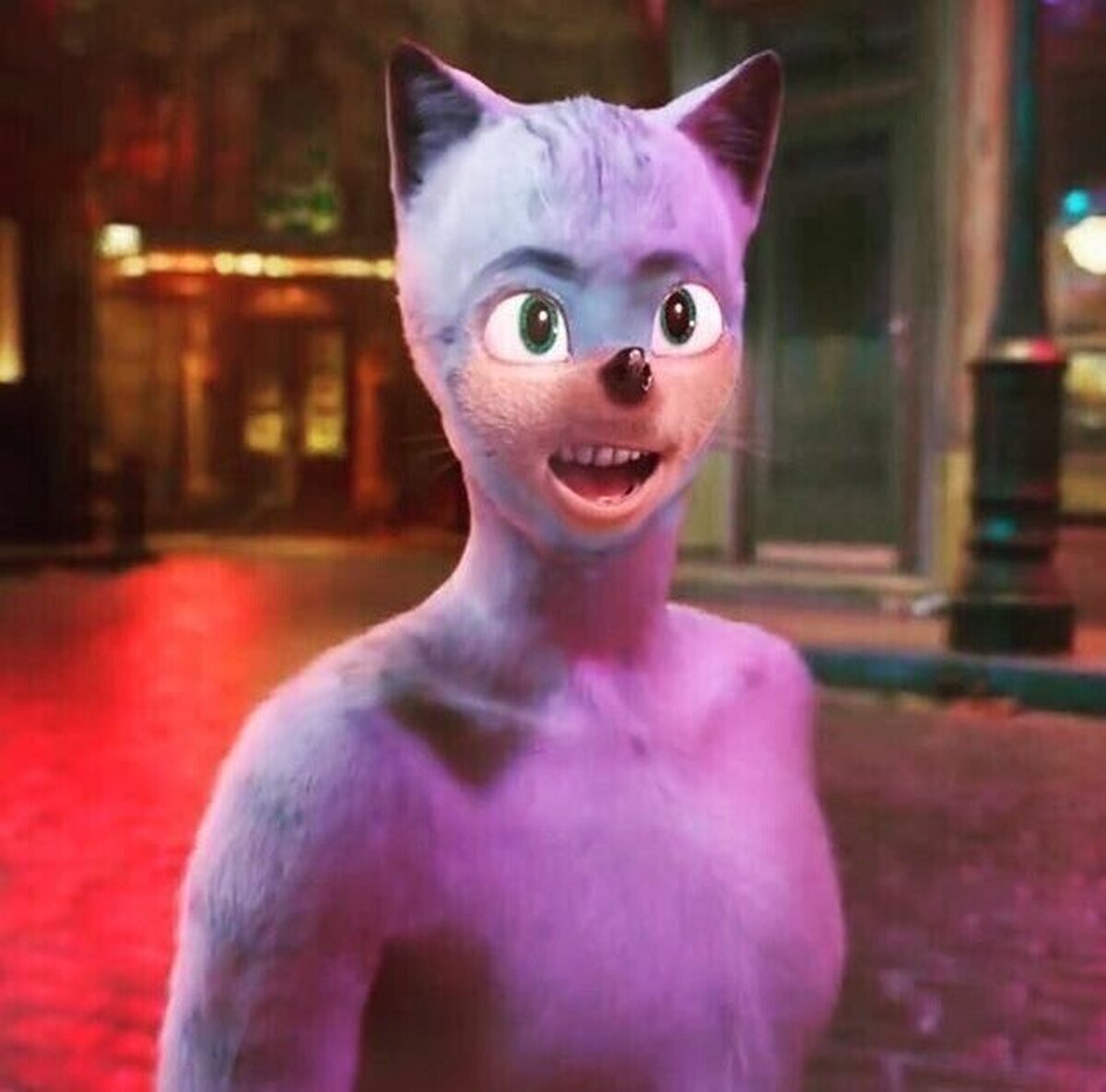 Catz+sonic = Pesadillas 