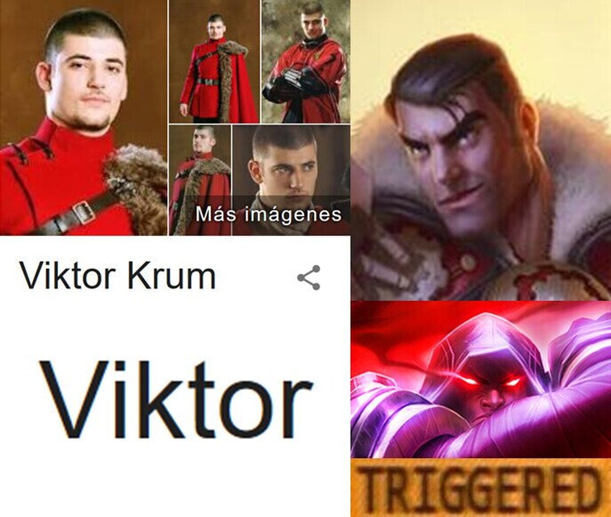 A alguien no le cae bien Viktor Krum...