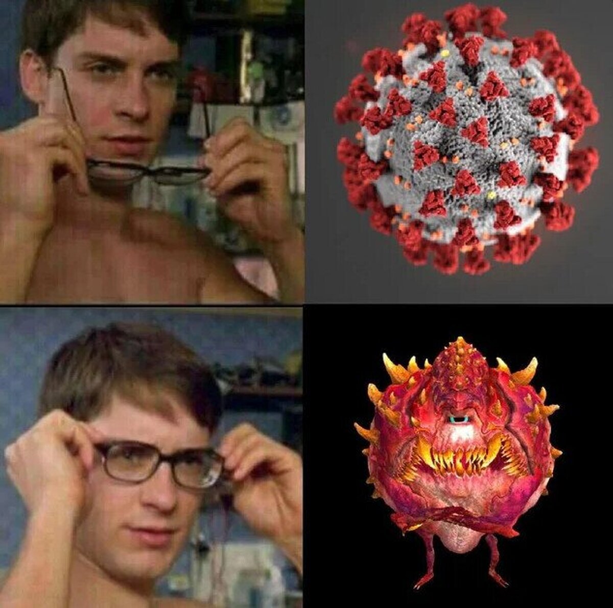 El verdadero aspecto del coronavirus
