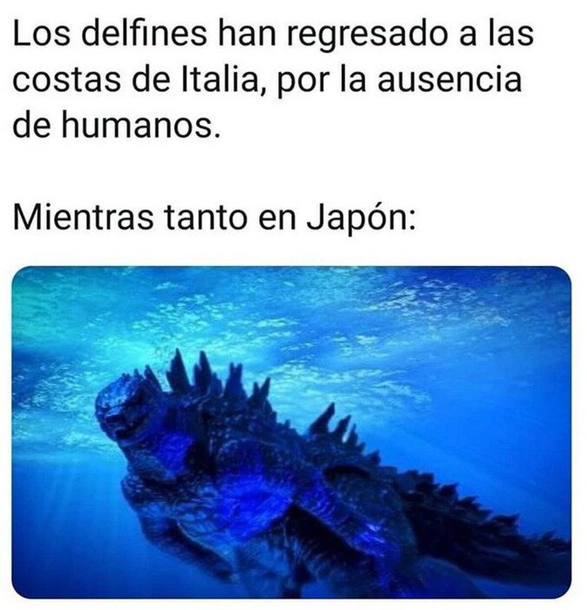 Está haciendo unos largos