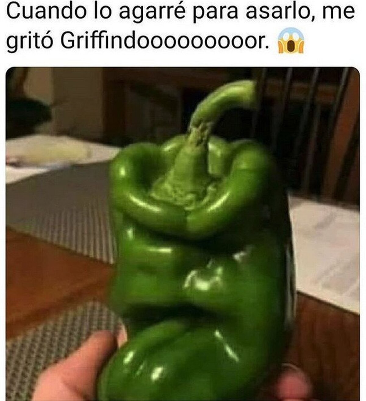 Menudo susto me di