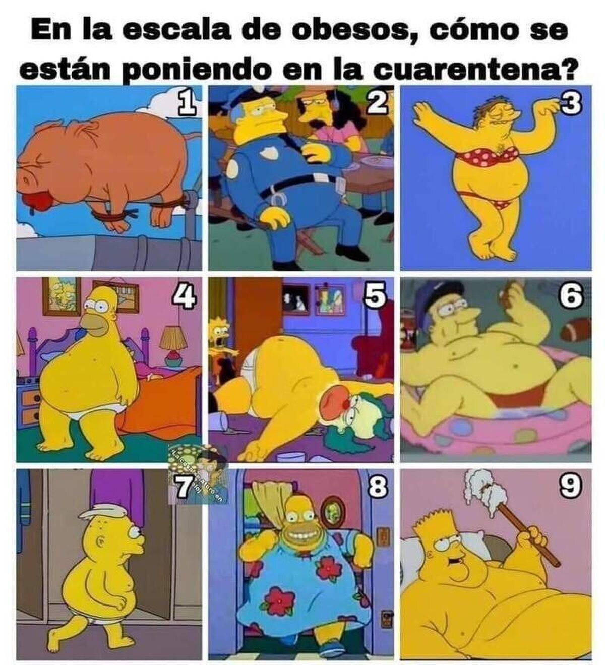 ¿En qué nivel estás?