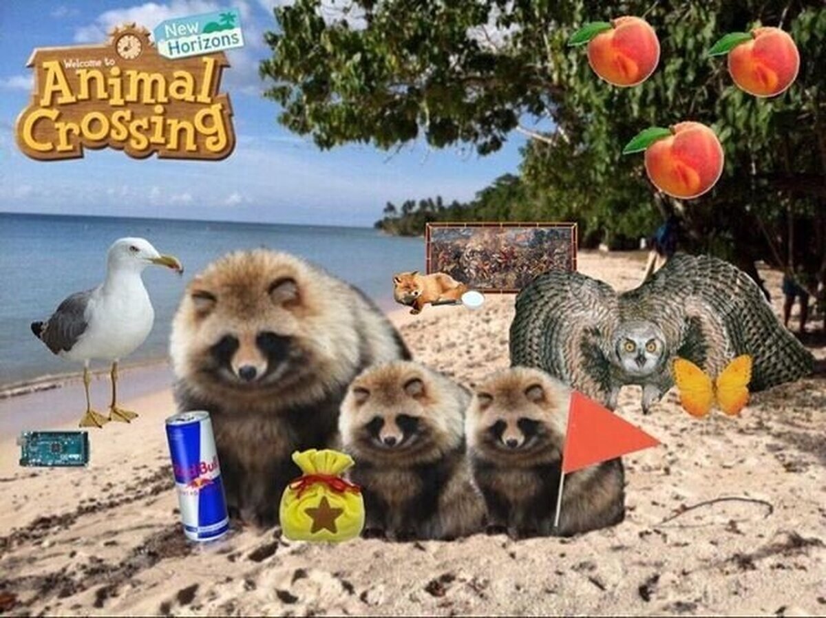 Animal Crossing NH en la vida real