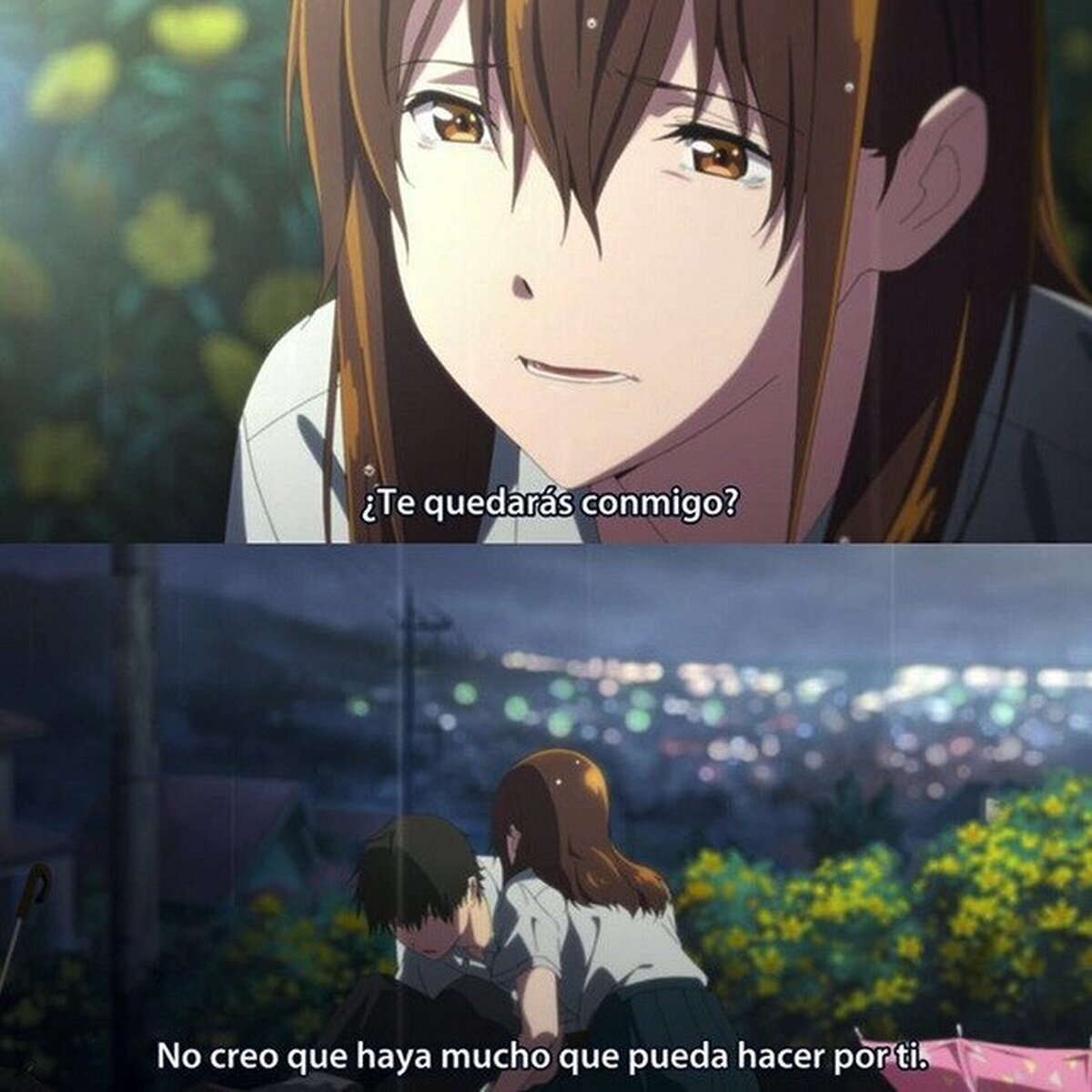 Mi vida amorosa