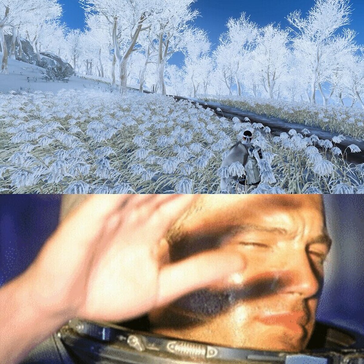 Alguien pensó que sería una buena idea un paisaje nevado con el brillo al máximo