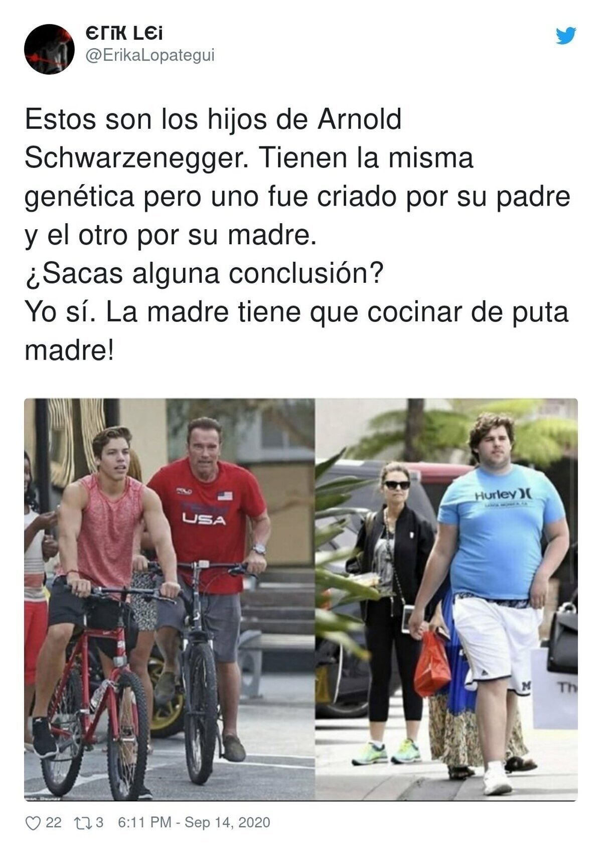 Vivir con Schwarzenegger debe ser como vivir con el sargento de artillería Highway