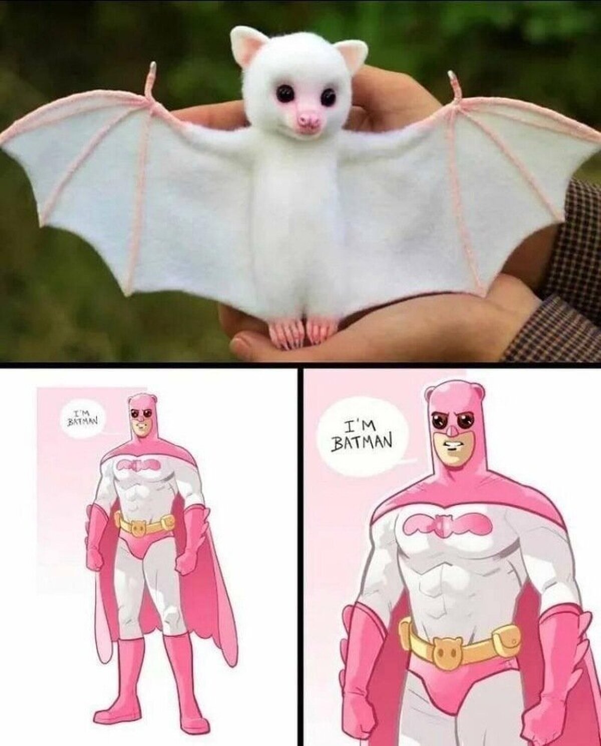 El Batman albino
