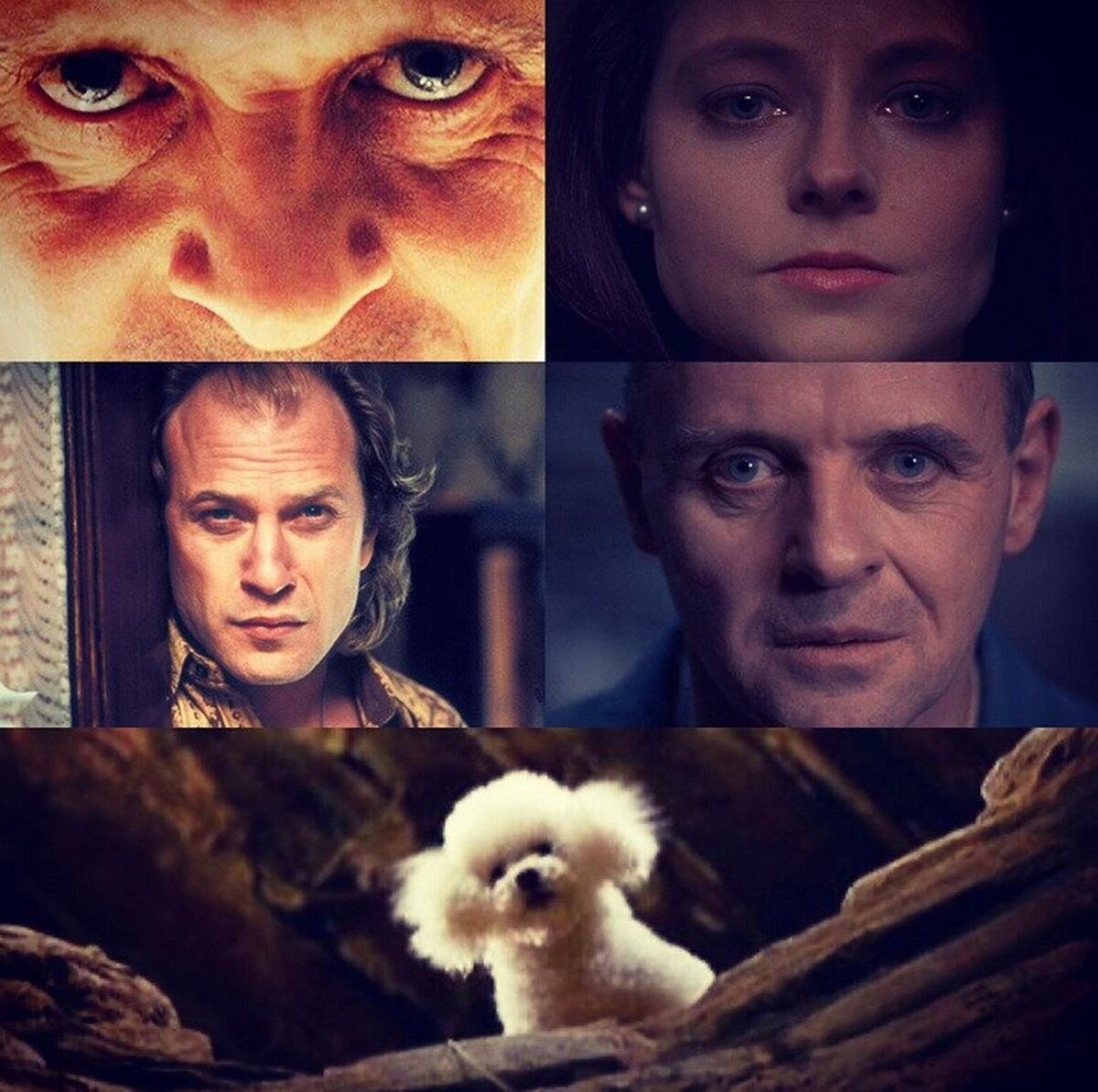 Pocos cineastas han logrado la intensidad en las miradas a cámara que logró Jonathan Demme en "The Silence of the Lambs"