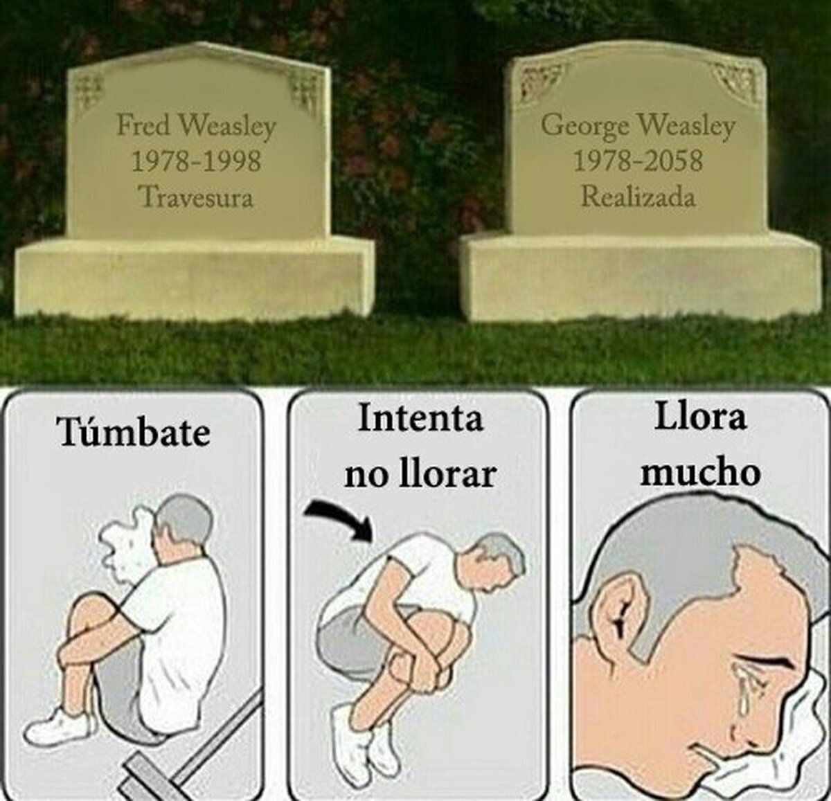 Intenta no llorar.