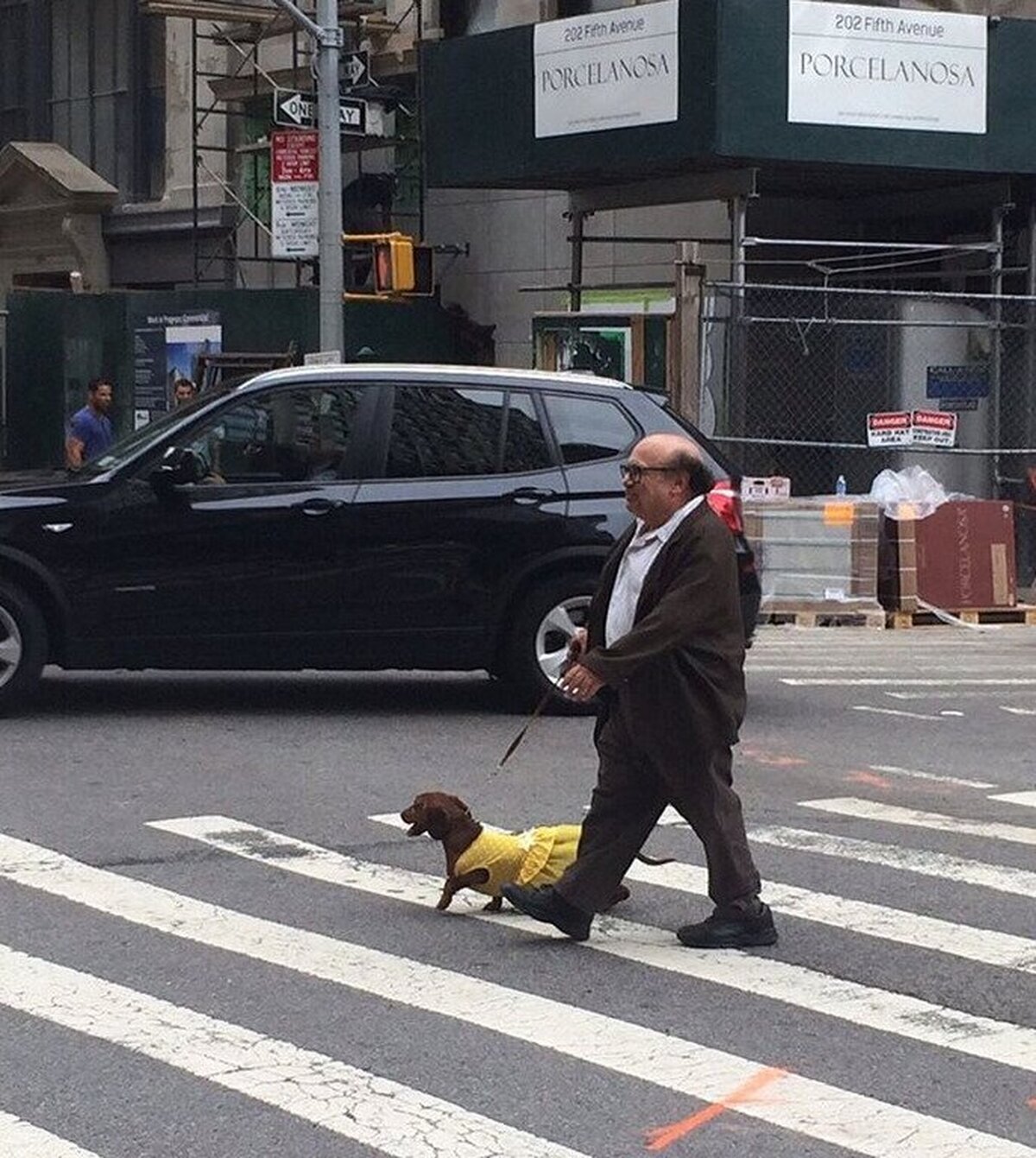 Danny DeVito paseando a su perro por NYC