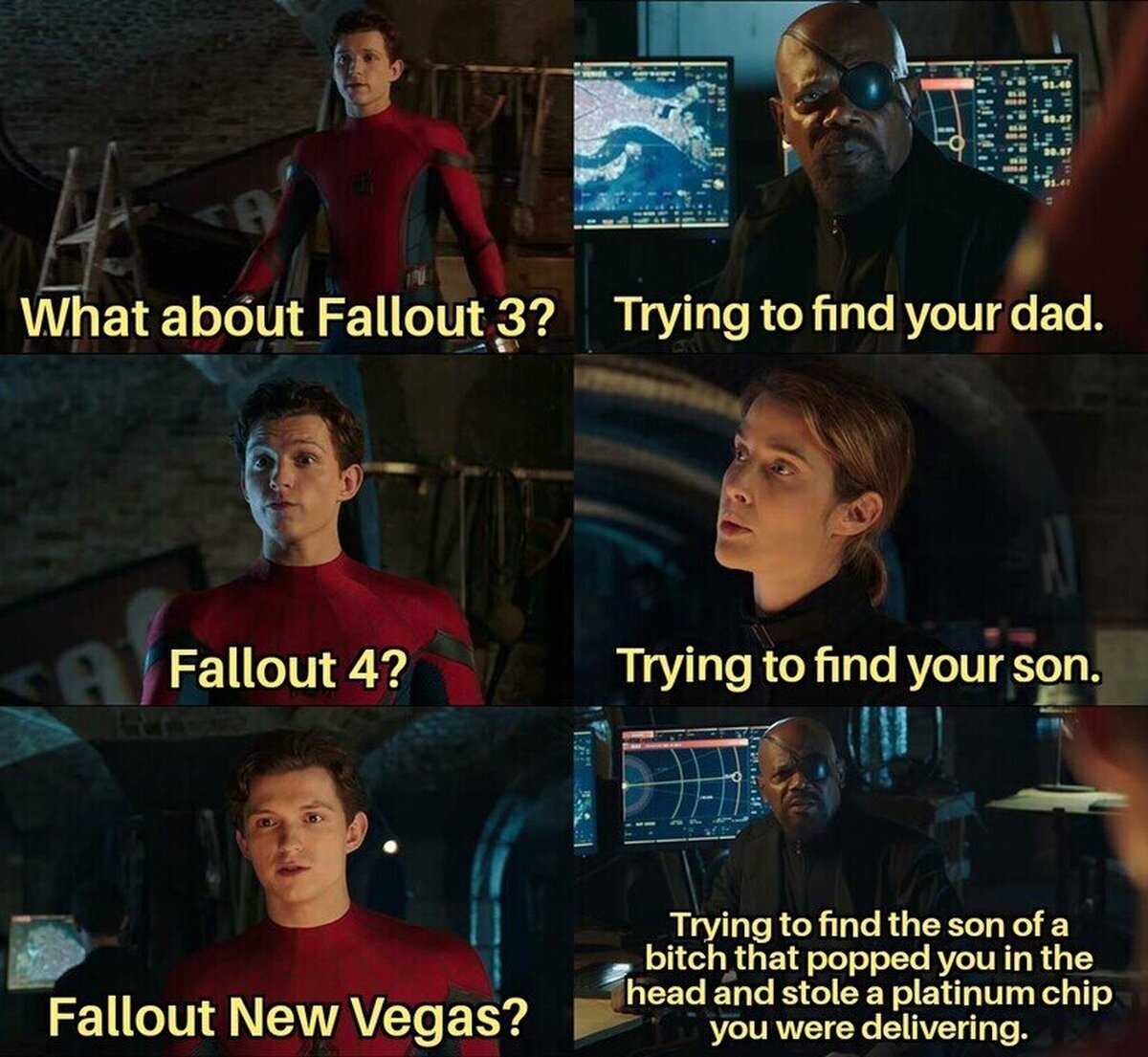 Fallout in a Nutshell. 