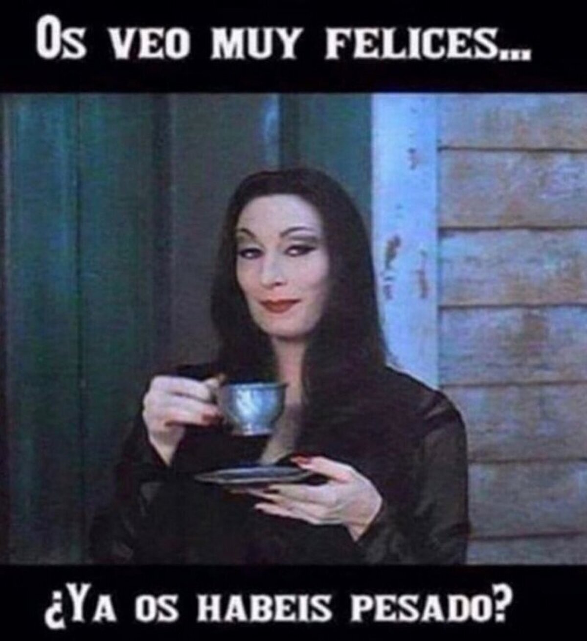 Maldita Morticia...