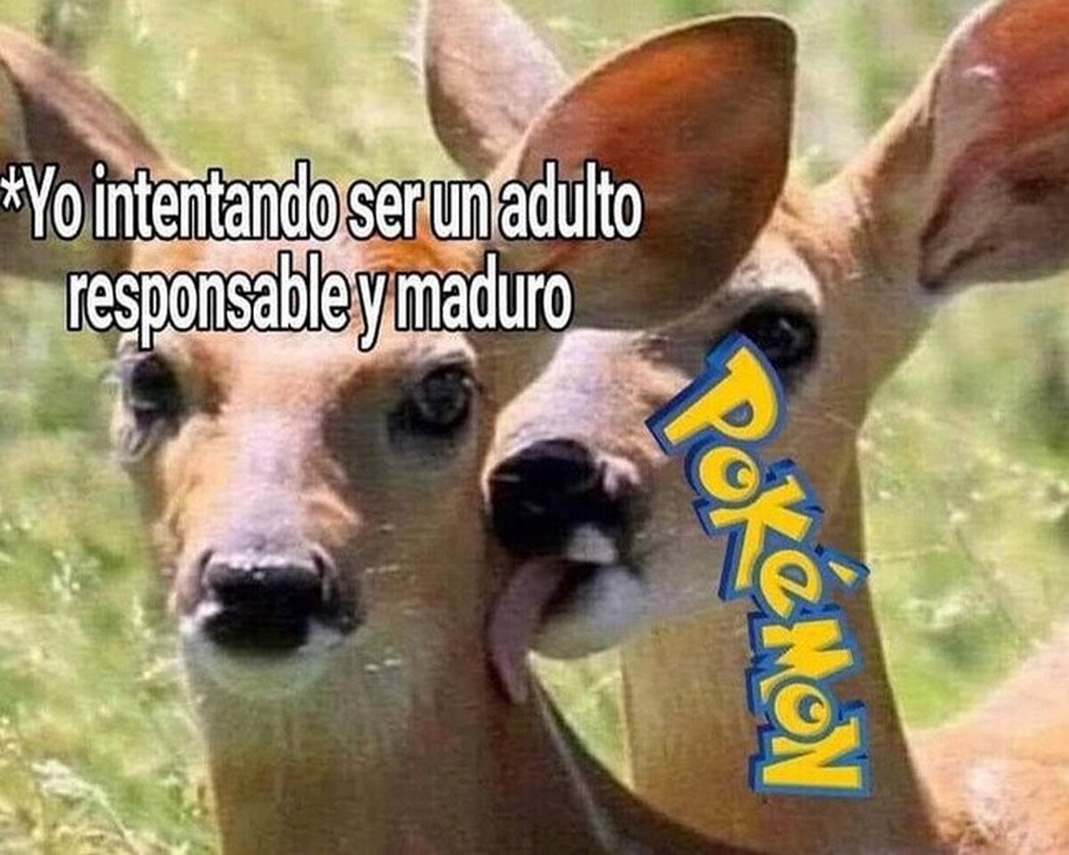 No vas a poder escapar