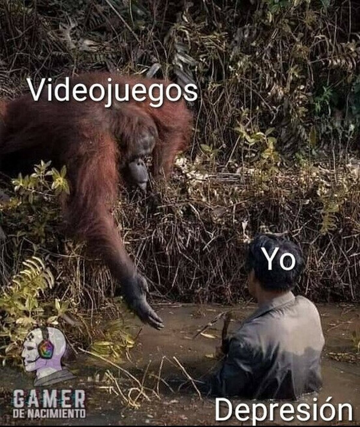 Gracias por sacarnos del barro