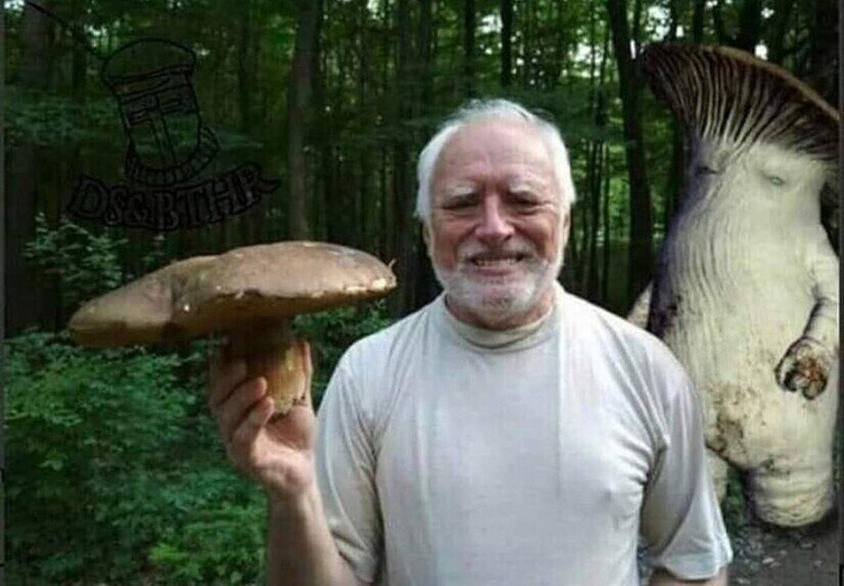 F