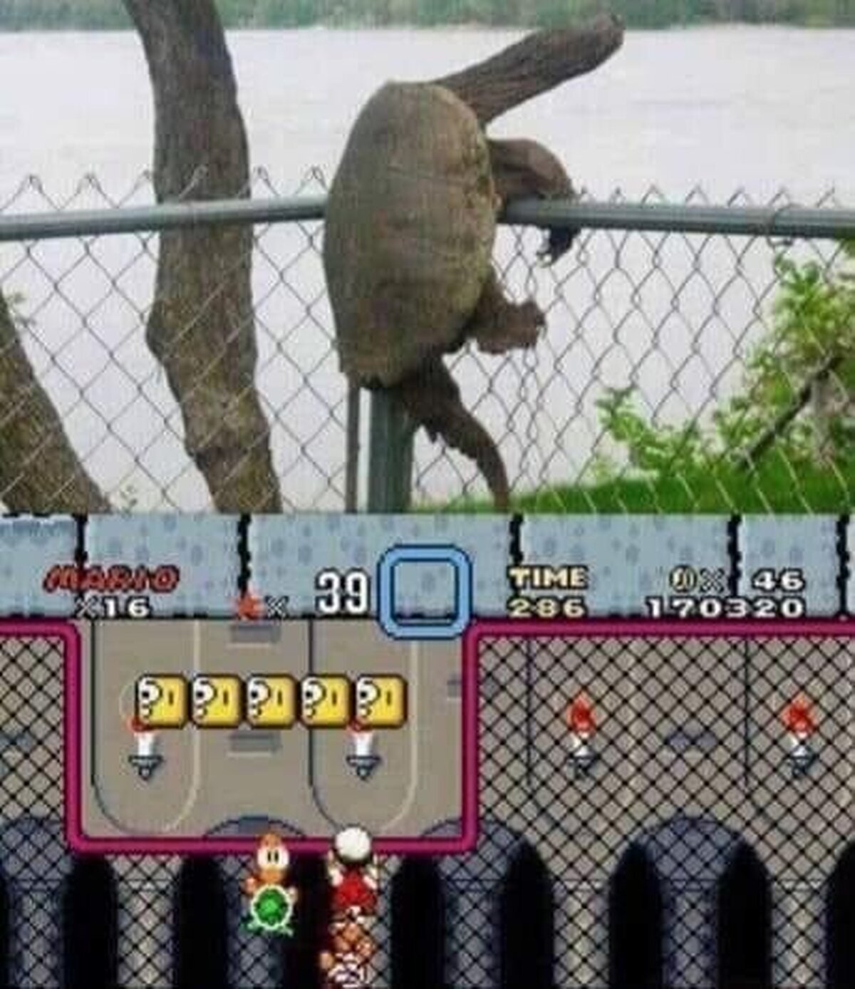 Así sería Super Mario World en la vida real