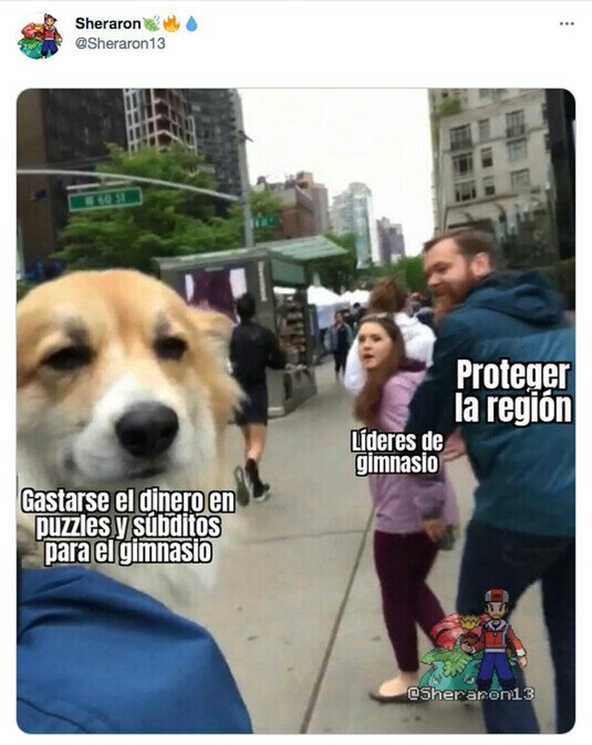 Sin puzzles y súbditos no se puede vivir