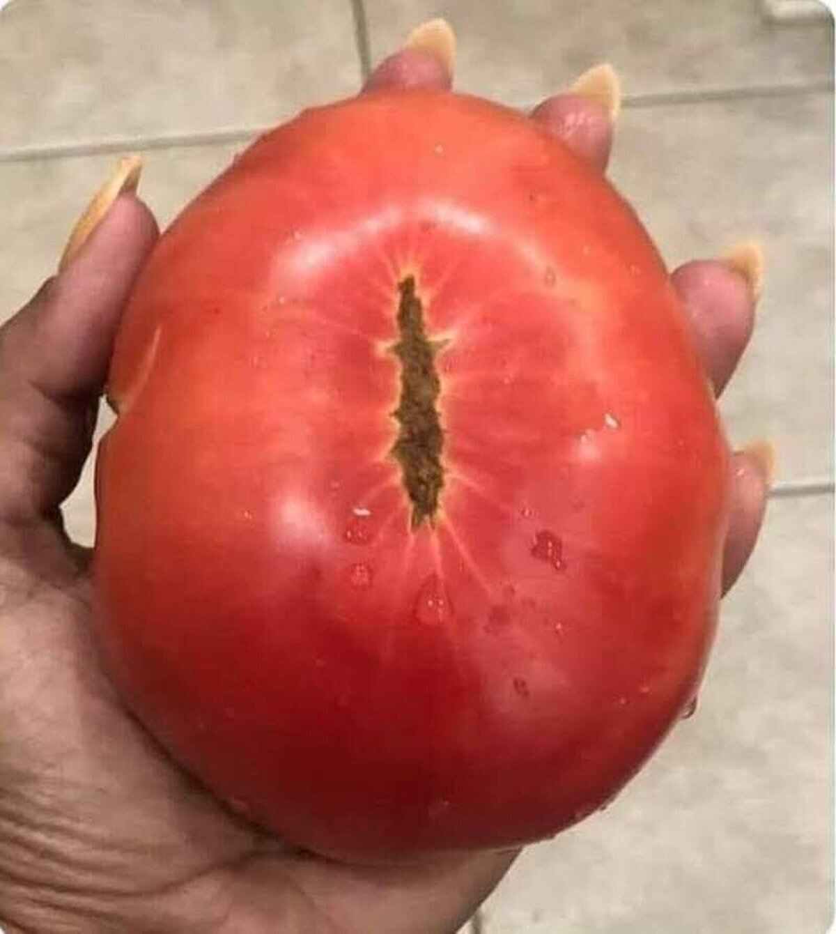 "Un tomate para gobernarlos a todos"Nada escapa al ojo de Sauron