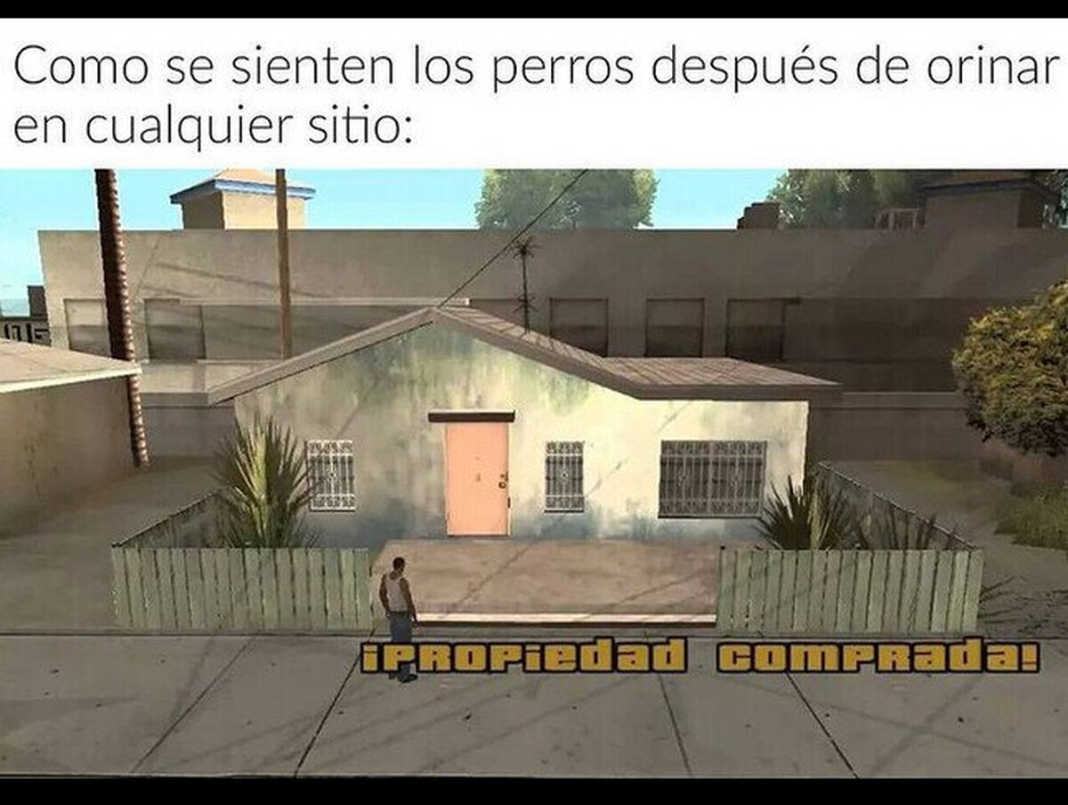 Así son los perros