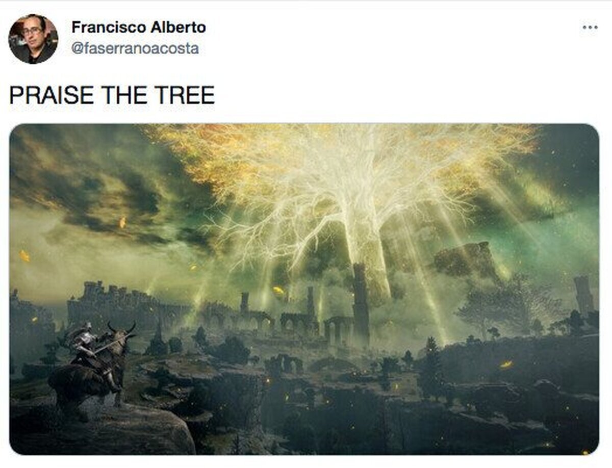 El árbol más bonito que he visto en mi vida