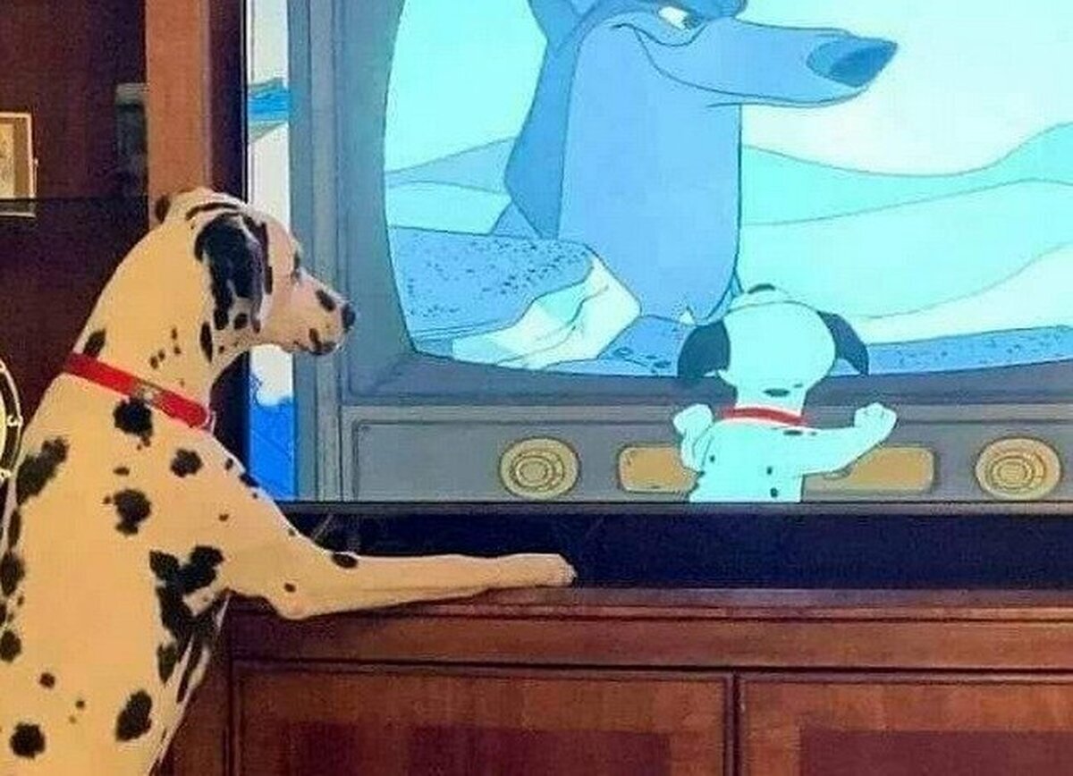 Bucle espacio temporal