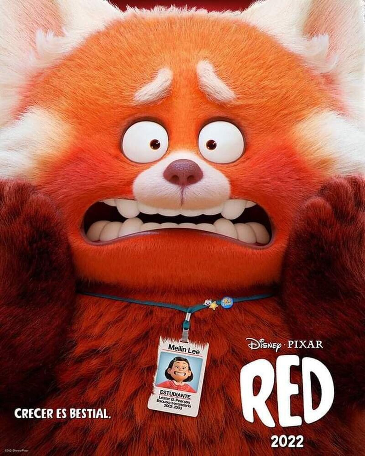 Crecer es bestial. Primer póster oficial de #Red, la nueva película de Disney y Pixar. Llegará a los cines en 2022