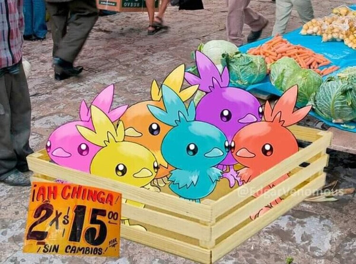 Torchics en tu mercadillo más cercano