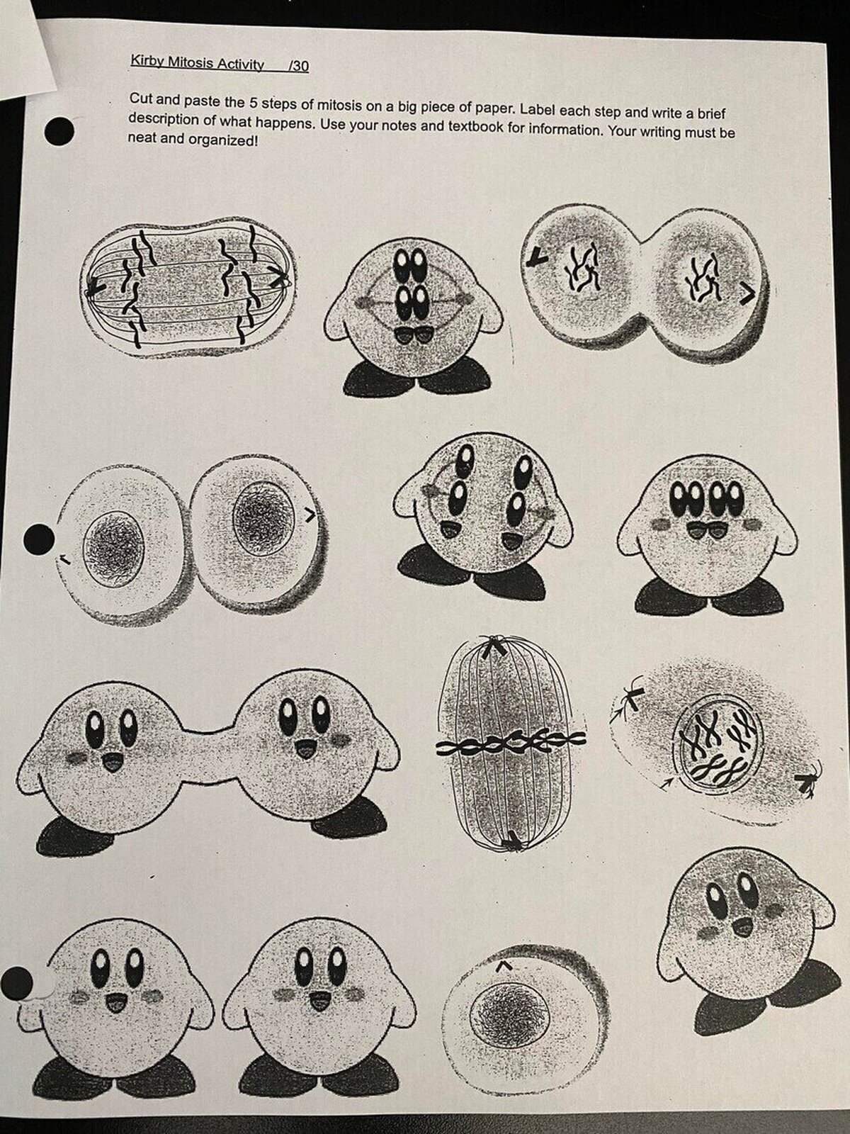 Kirby y las celulas 