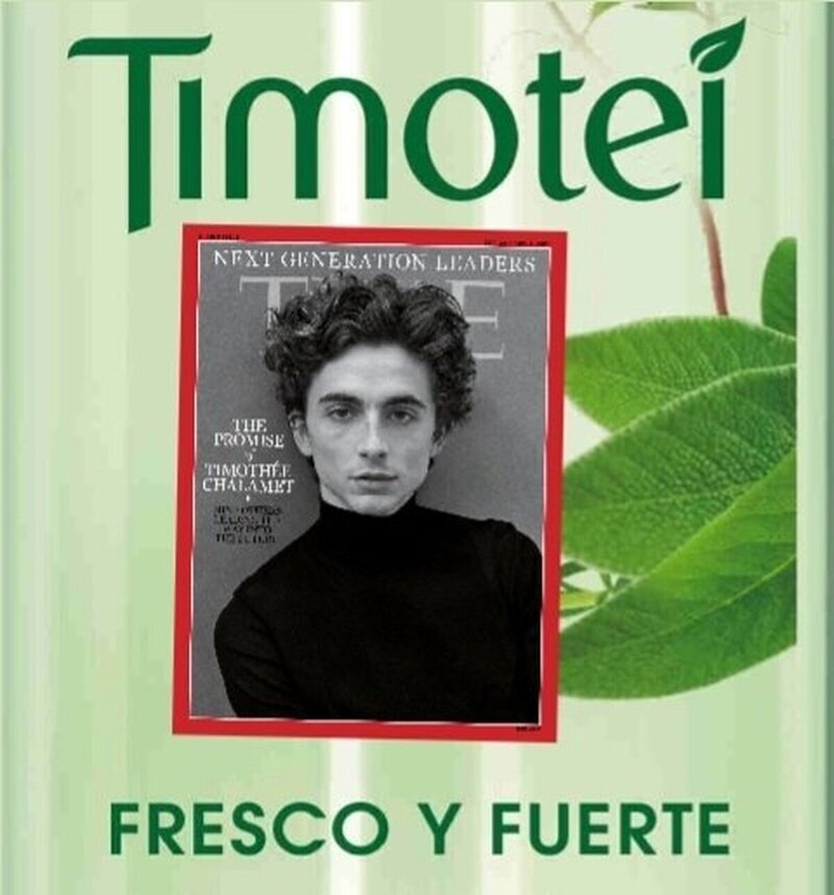  Fresco y fuerte