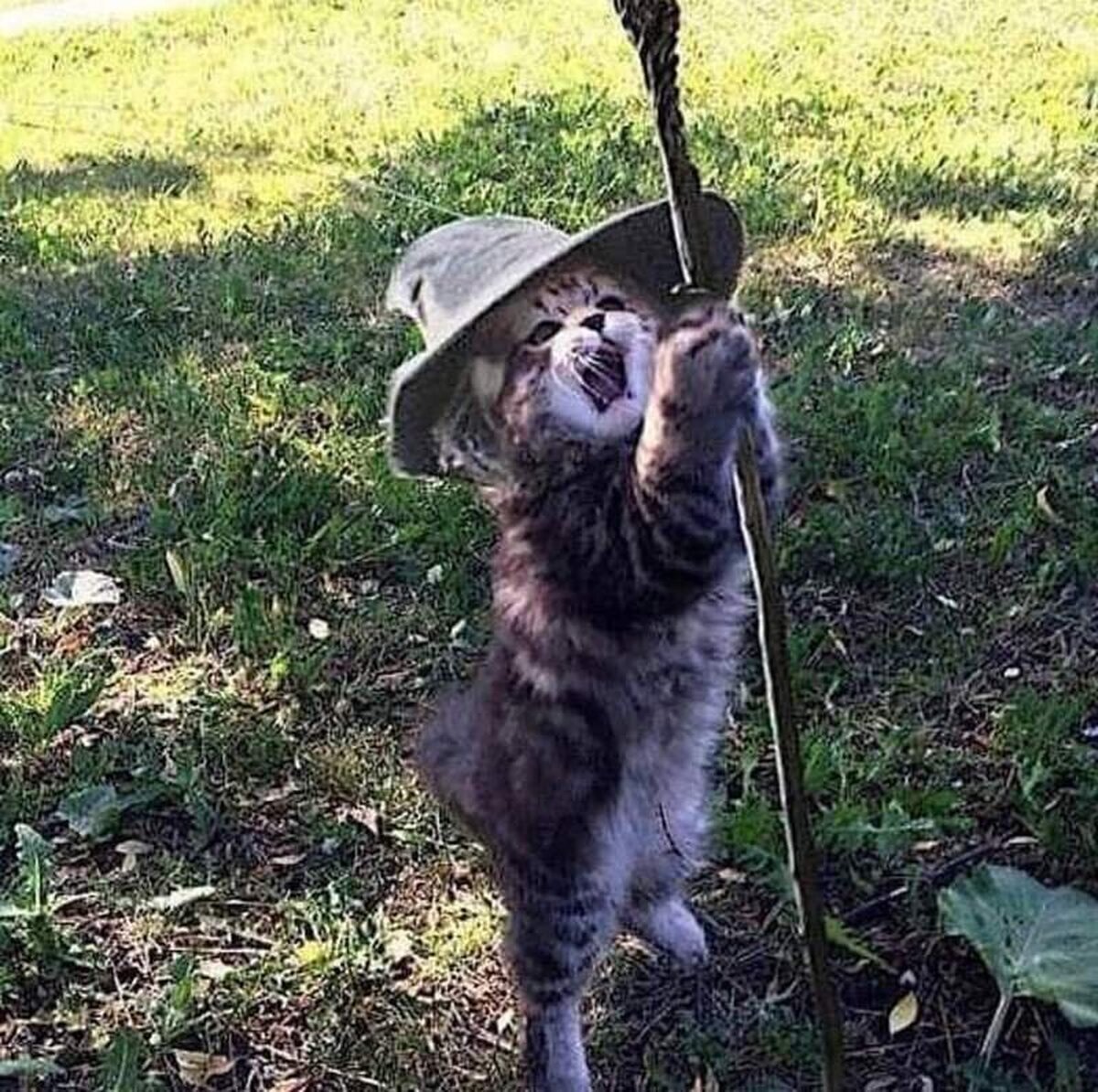 You shall not ps ps ps ps