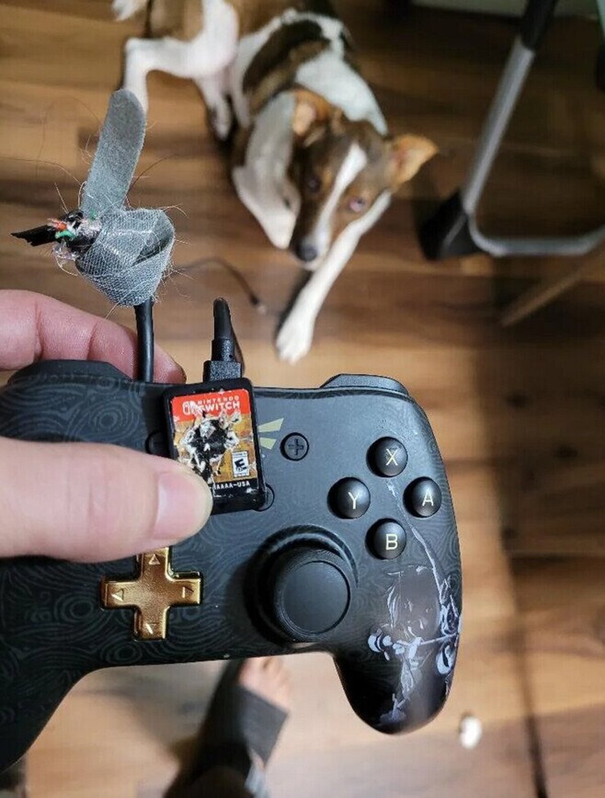 Creo que no le gusta demasiado que juegue a Zelda
