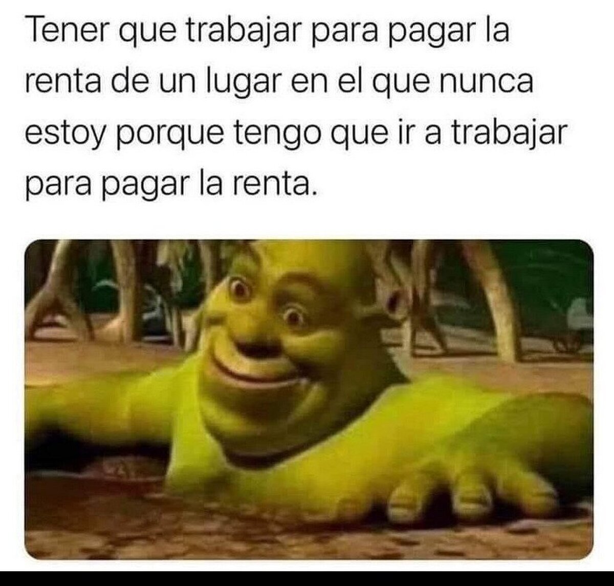La historia de mi vida