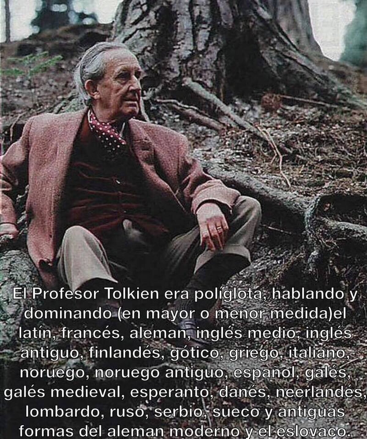 Tolkien, el escritor más polifacético de todos
