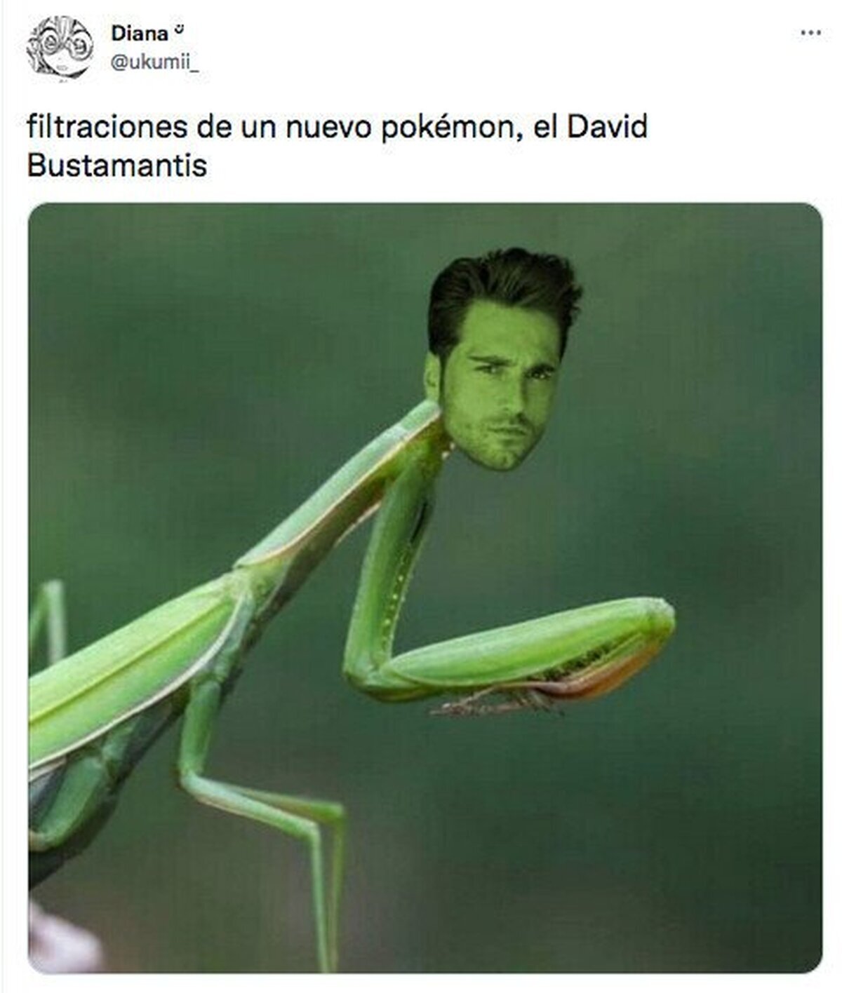 Nooooooo