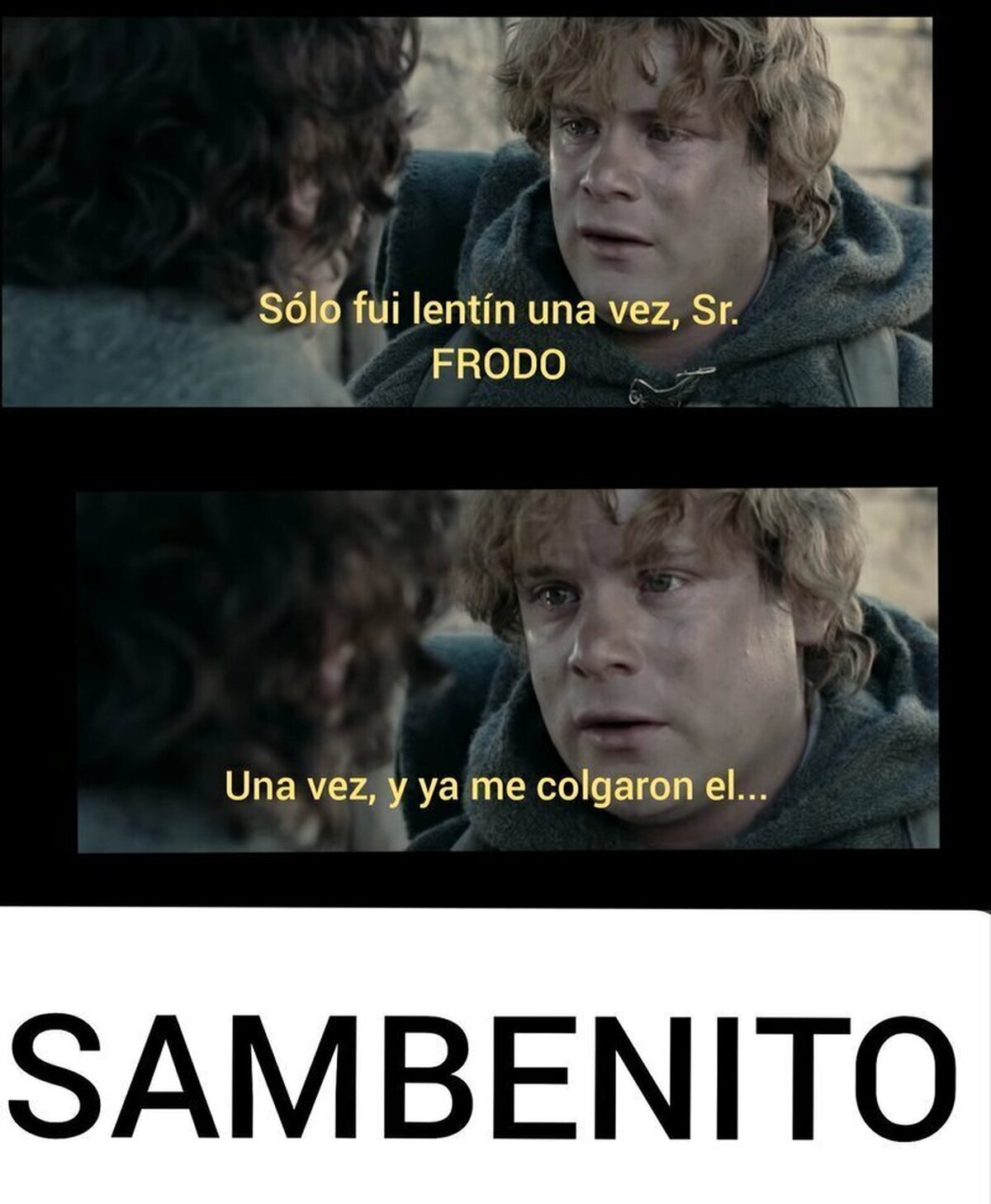 Una vez, señor Frodo