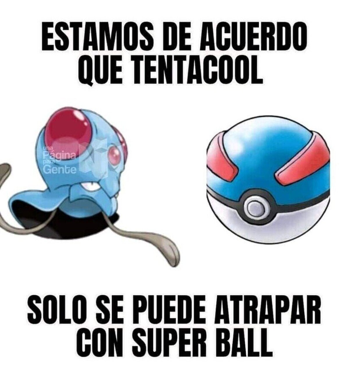 ¿Estás de acuerdo?