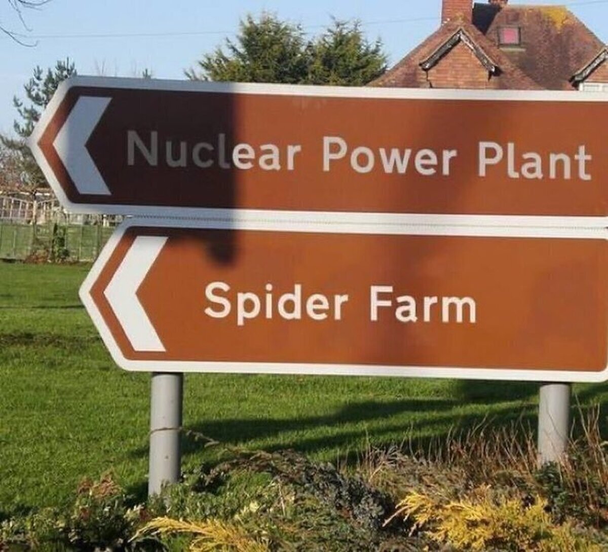 Así nació Spider-man