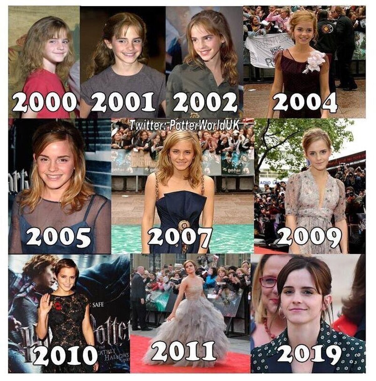 Evolución 