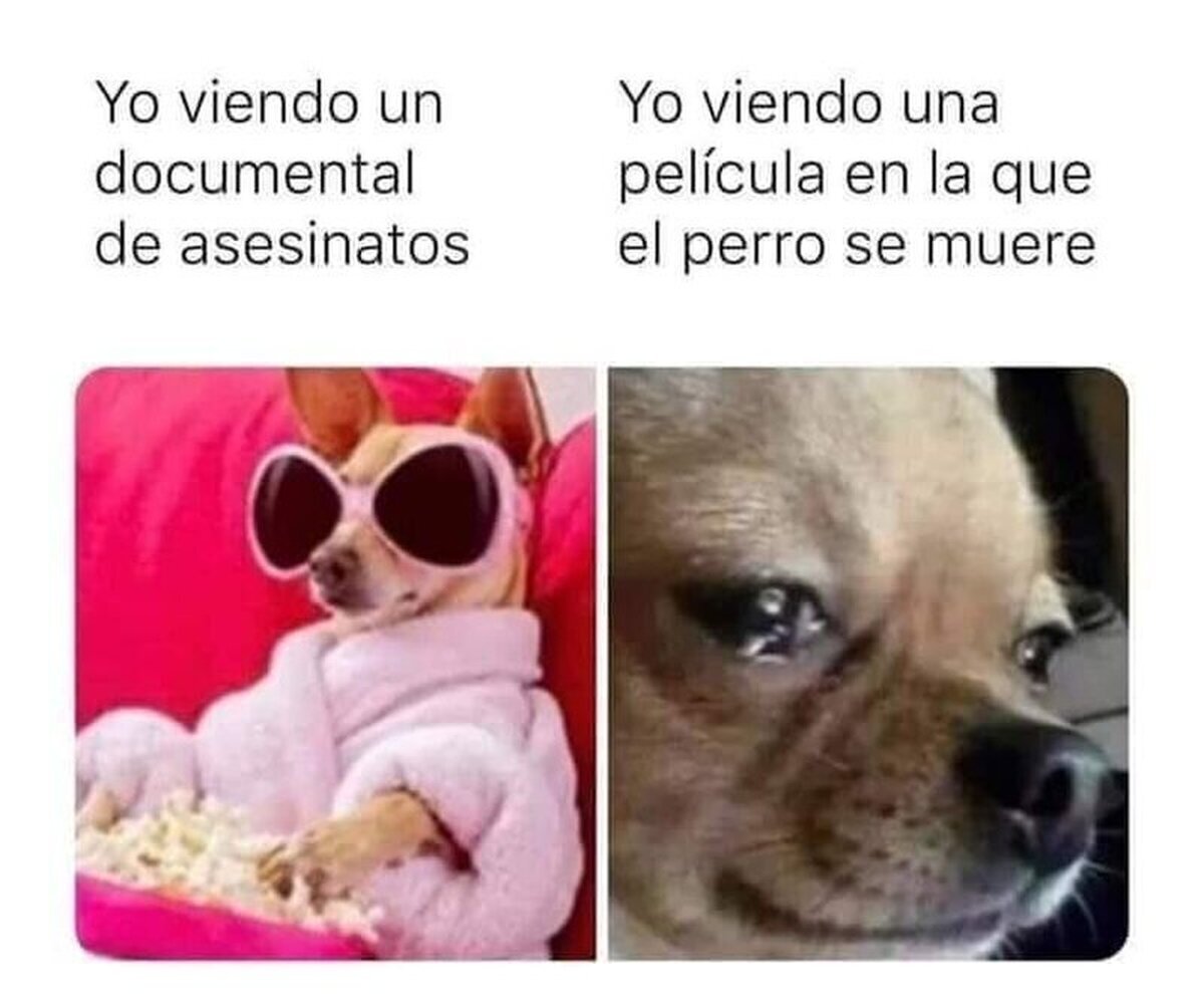 Buahhh es que soy yo literal