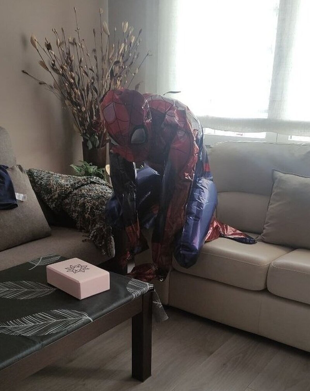 Si tenéis un mal día, espero que al menos no sea tan malo como el del globo de Spiderman de mi sobrino.  