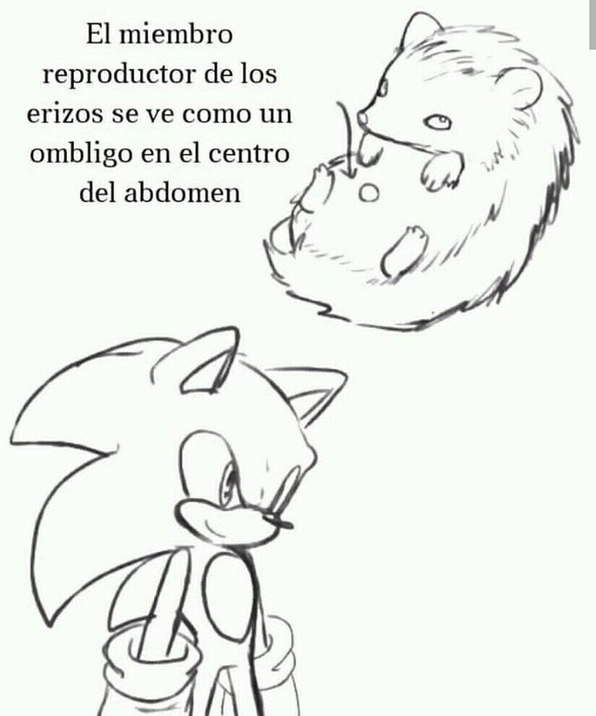 Nooooooooo no necesitaba saberlo