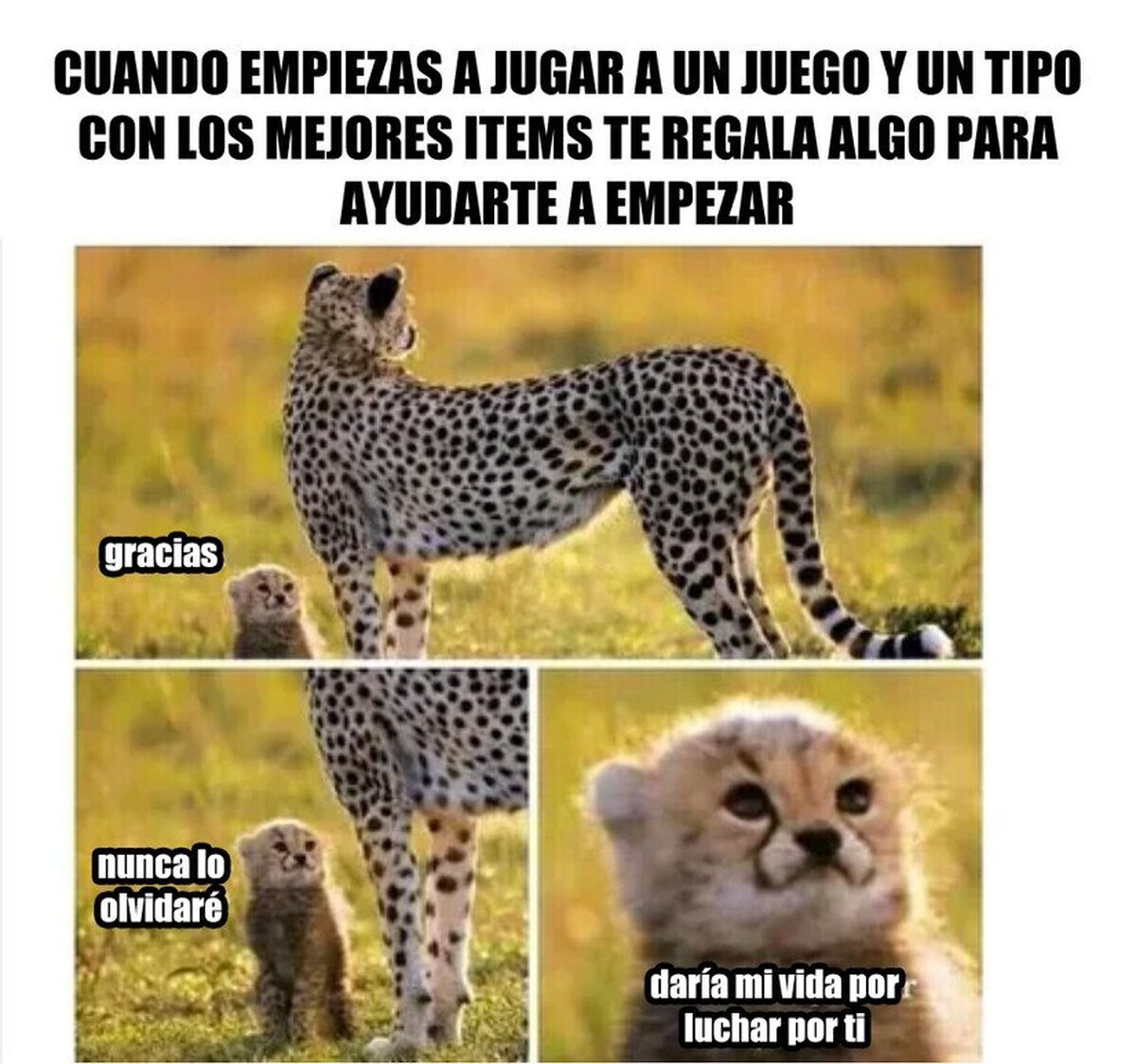 Hay que ser agradecido en esta vida