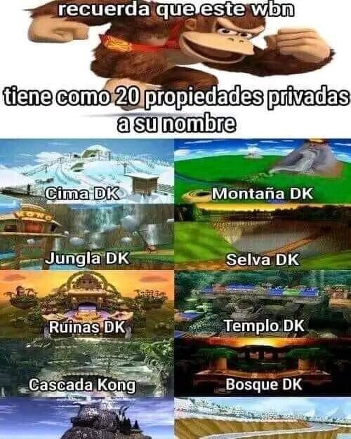Este gorila es millonario 