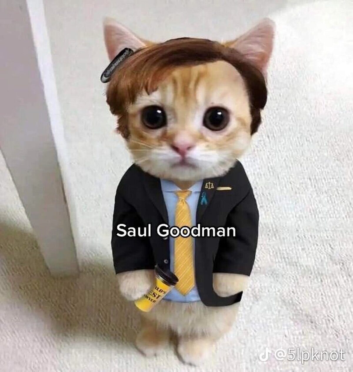 Saul Goodcat