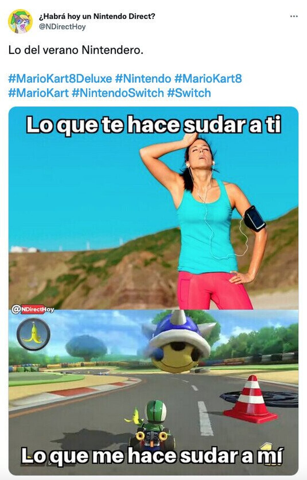 El verano Nintendero