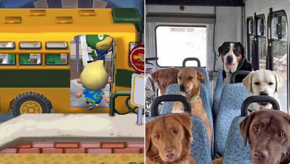 Así es como se ve el autobús del Animal Crossing por dentro