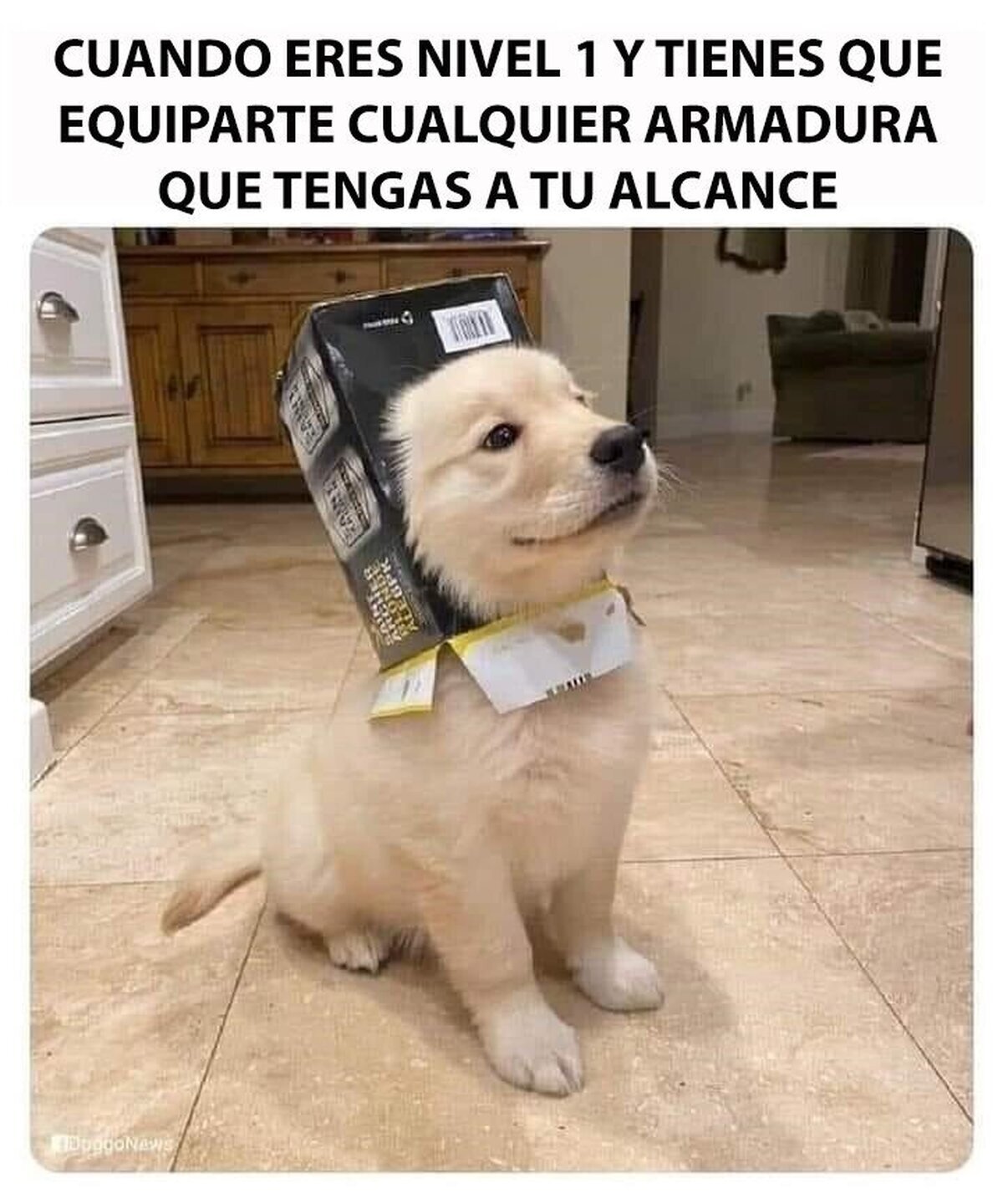 Cualquier cosa de cartón ya me sirve